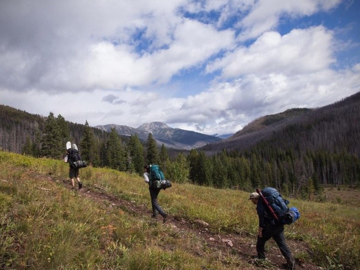 a group of people walking on a grassy hill