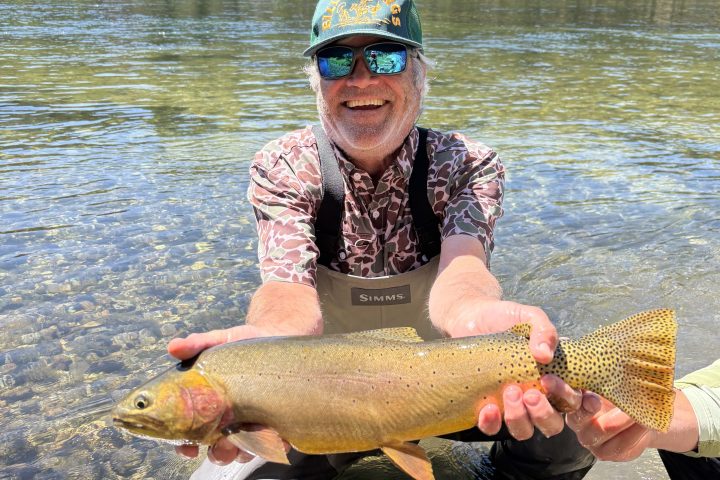 Man in waders holding a large fish by a clear river, with a forested background.
