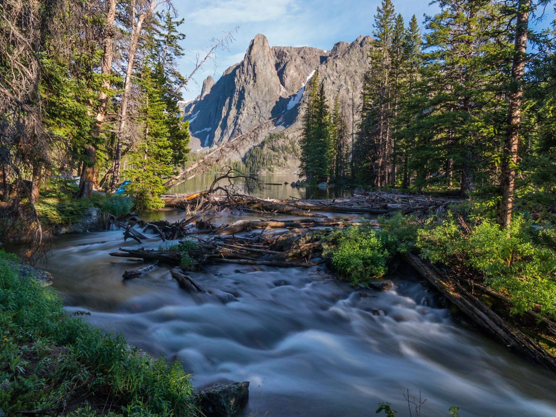 a waterfall surrounded by trees