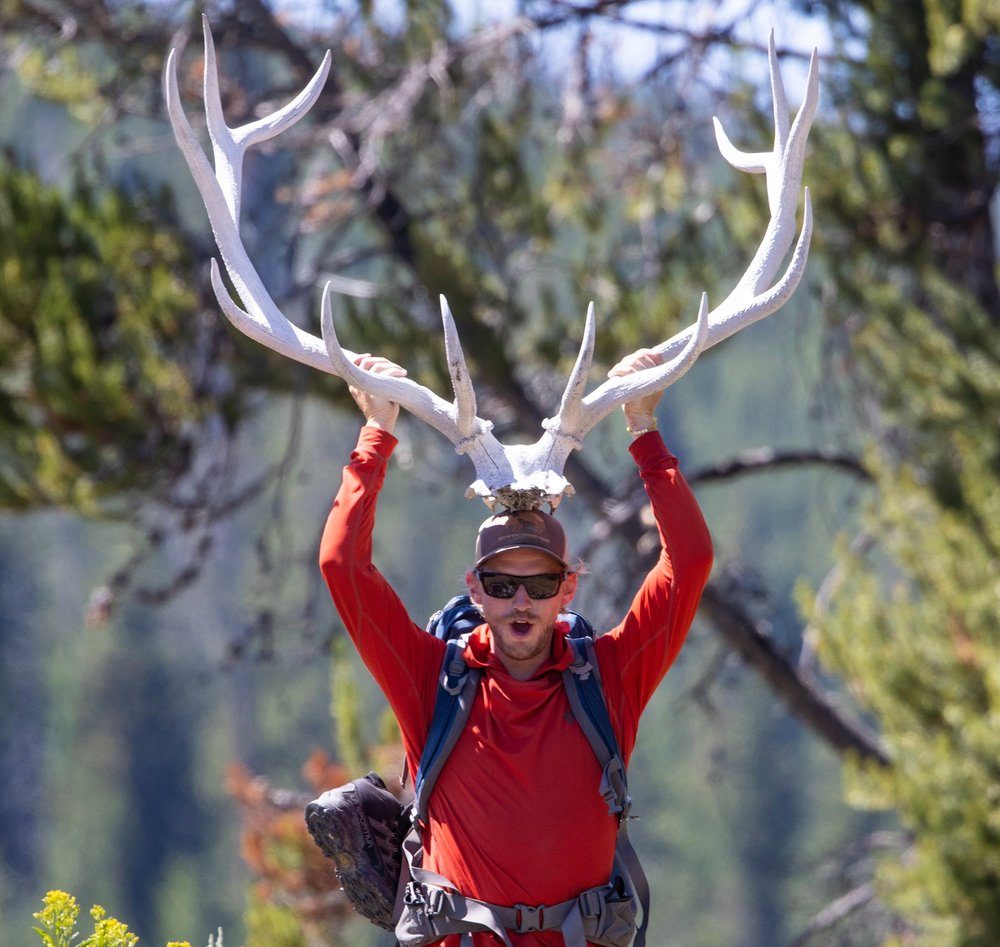 Gus in the Yellowstone backcountry with a giant elk skull with antlers