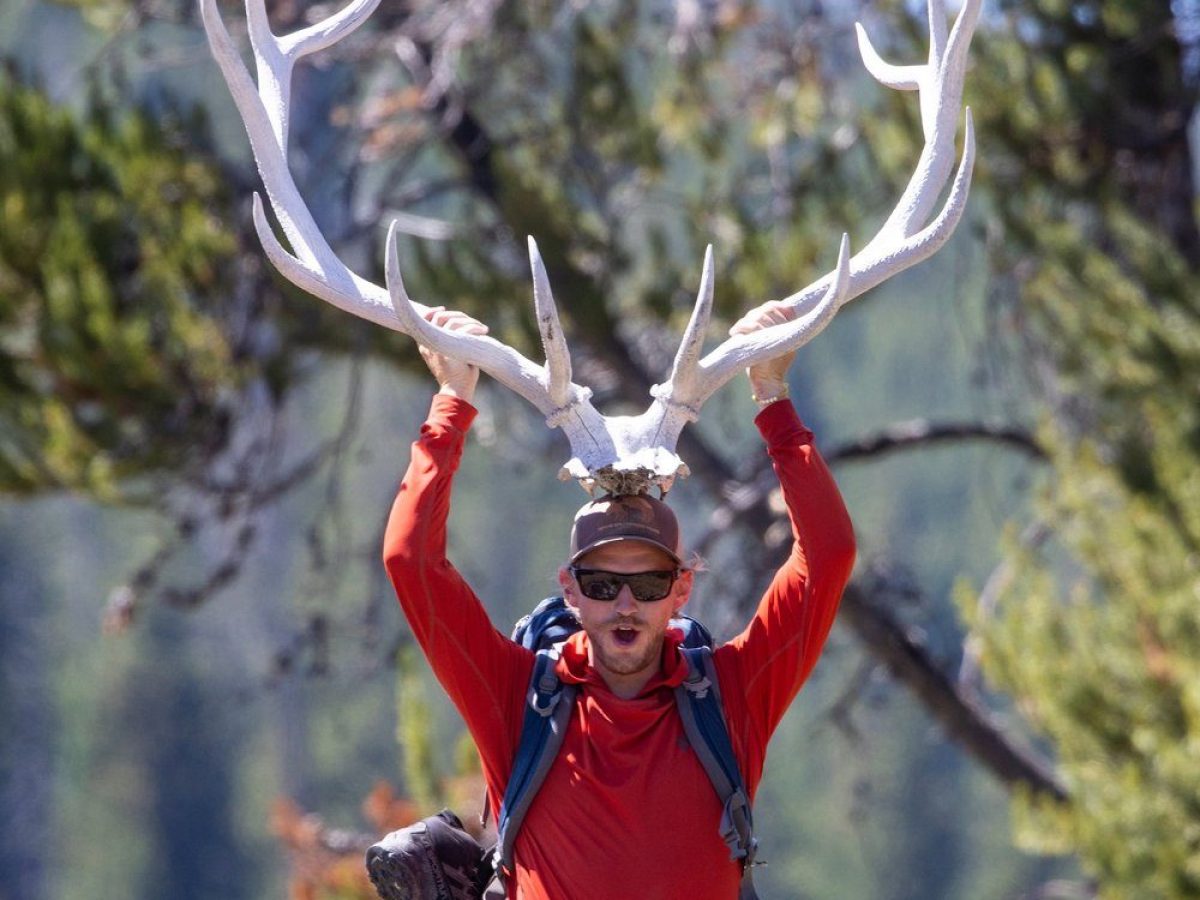 a person standing next to a tree