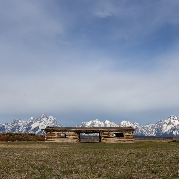 a field with a mountain in the background
