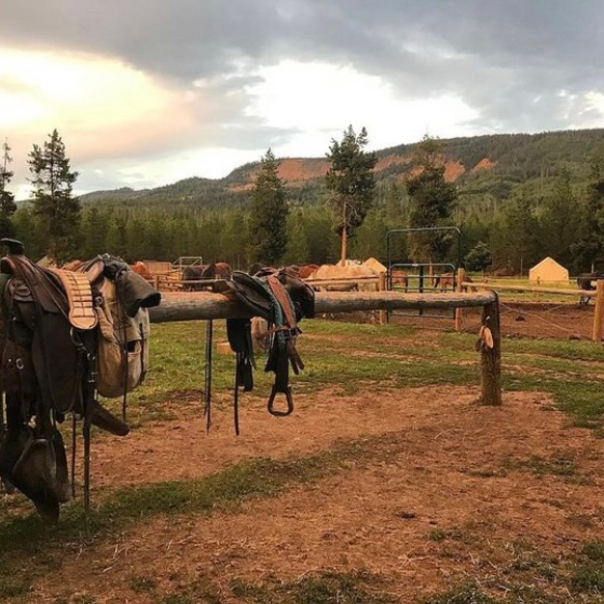 Saddles at Teton Wilderness Tours horseback riding camp. Guided naturalist wrangler rides with wildlife safari tours.