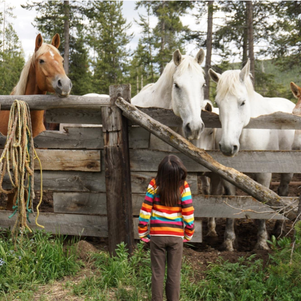 Girl looks up a trail horses in awe, as curious horses gaze down at her.