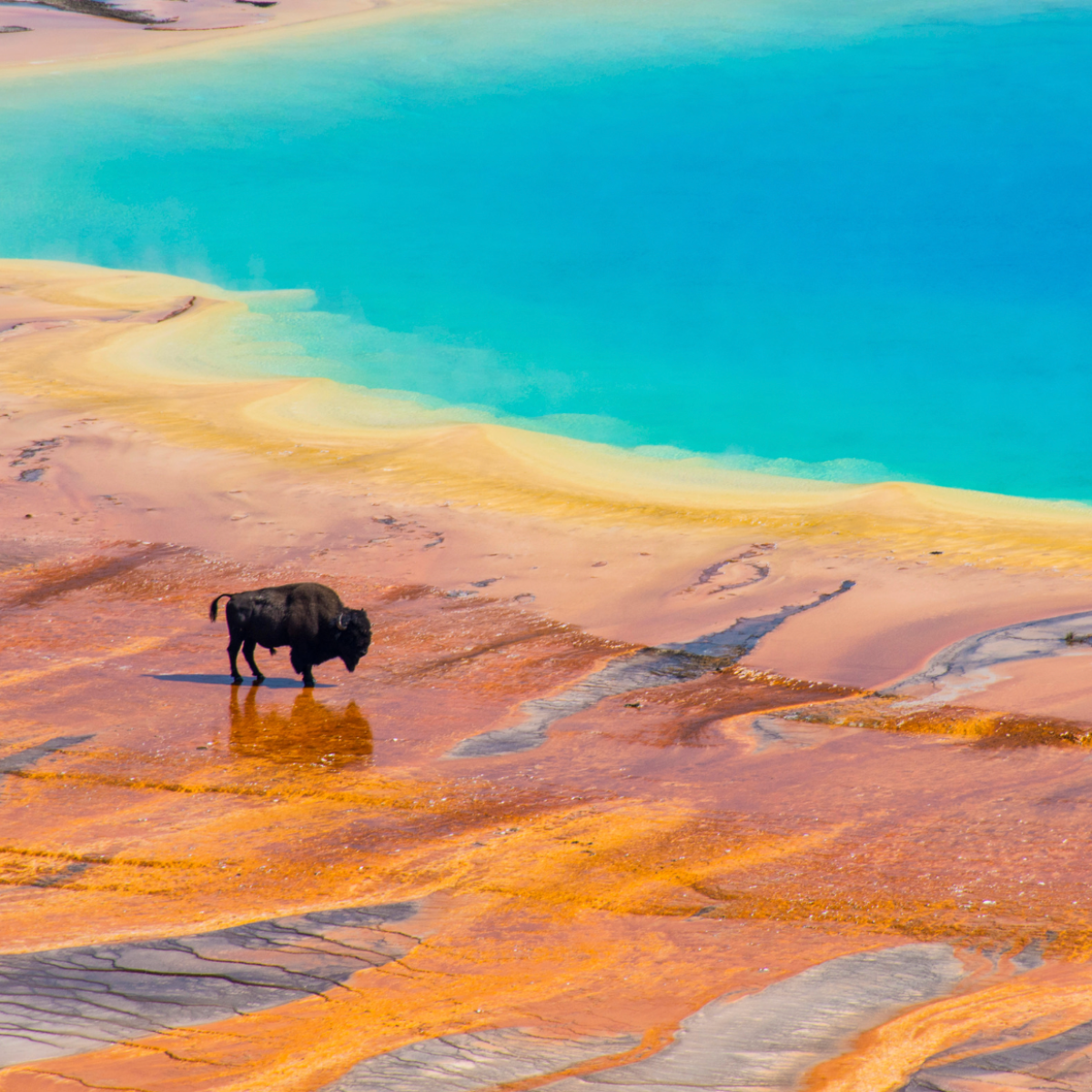 a group of people on a beach near a body of water