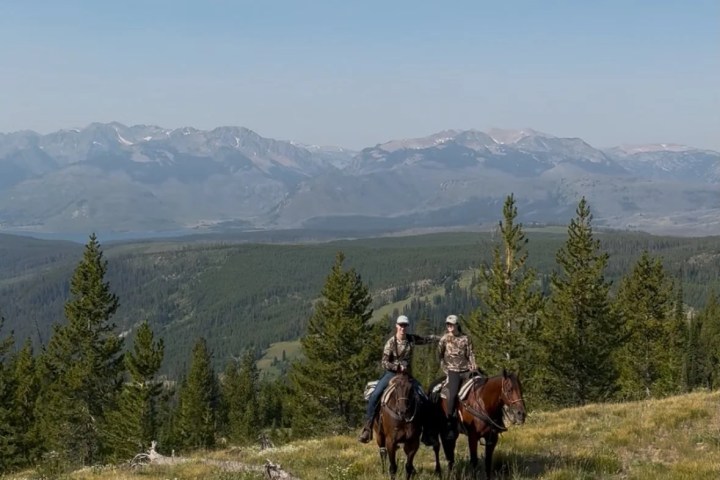 Two people on horses in a mountain landscape with trees and distant peaks.