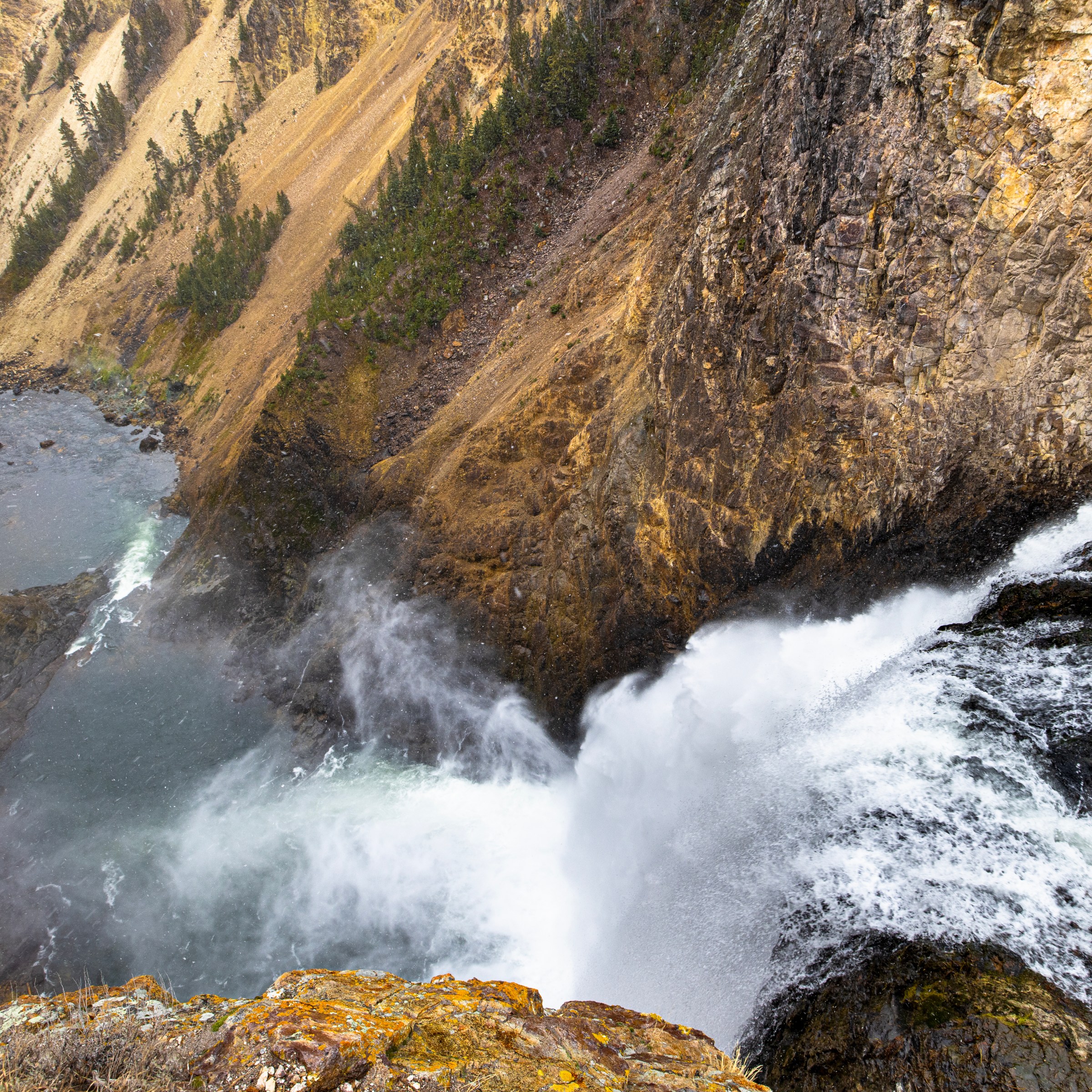Lower Yellowstone Falls